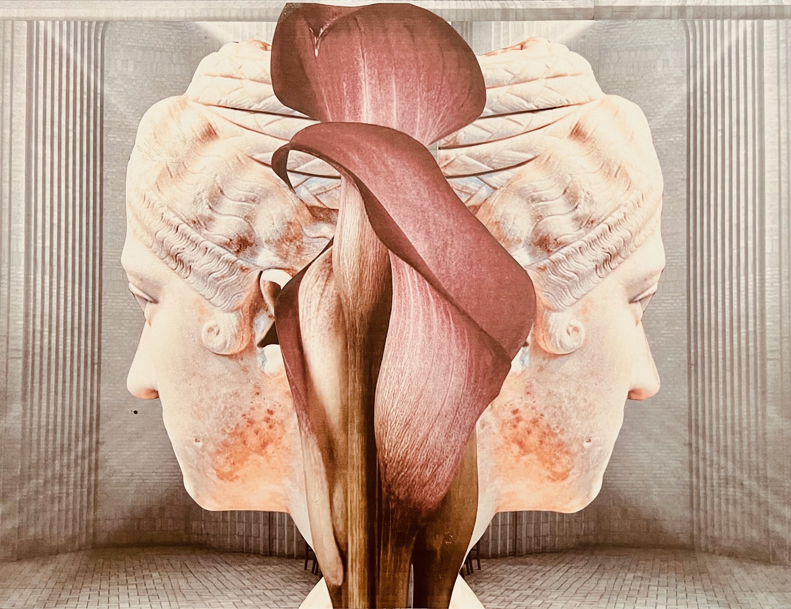 karlheiz deutzmann. 2